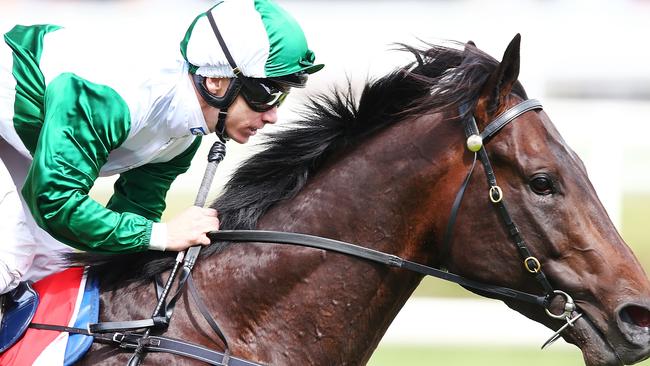 Thinkin' Big, winner of the Caulfield Classic, will not contest the Cox Plate.