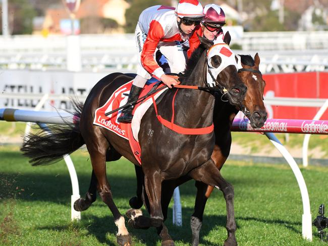 Mystic Journey takes out the P.B. Lawrence Stakes last August.