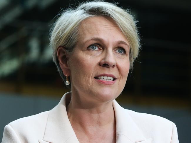 Tanya Plibersek listened to 17 or 18 dissidents, including one claiming to be a local elder based on her descent from a single Aboriginal ancestor born in the 1820s. Picture: Gaye Gerard