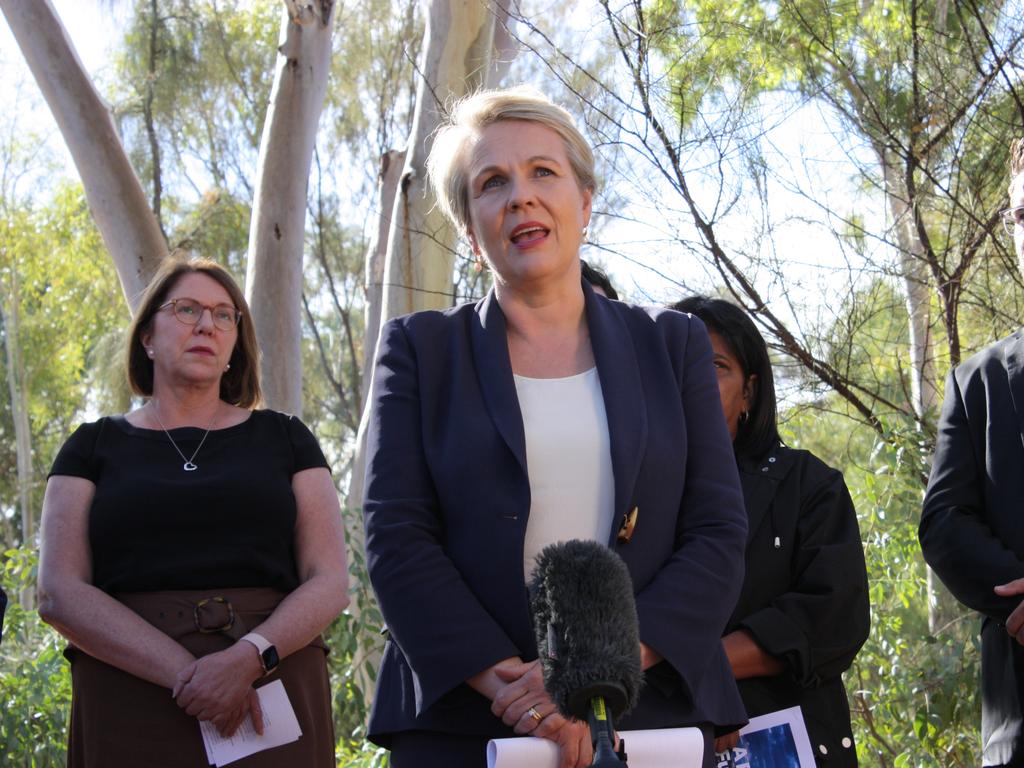 Tanya Plibersek said Labor would consider changes to superannuation and parental leave if it wins government. Picture: Lee Robinson