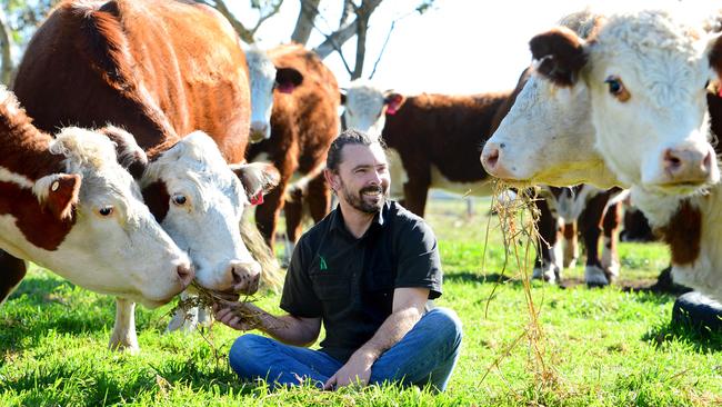 FARM: Sage FarmChris Balazs runs Sage Farm selling lamb, beef and pork from his and other farmers' properties through seven sales channels. He has an on-farm shop, on-farm butchery (converted from a 40ft shipping container), on-farm commercial kitchen and is adding a market garden and meat chickens.Pictured: Chris Balazs with beef cattle on Sage Farm. Generic farm. Beef cattle. Cows and calves. Happy cows.PICTURE: ZOE PHILLIPS