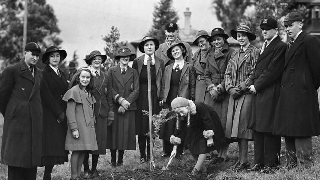 1935 Students from 10 Hobart schools were involved in the planting of the first stage of an avenue of trees along Creek Rd at New Town in July 1935. The participants were Mary McPhee and Georgine Best (Collegiate School); Joan Cane and John Moore (Friends’ School); Edna Eyre and Harry Mackay (State High School); E.D. Tudor and W.T. Bennett (Hutchins School); Lorna Killalea and Joan Cousins (Sacred Heart Convent); Judith Stephens and Margaret Scollick (Queen’s College); Sheila Lyons and Mary Weber (St Mary’s College); Dorothy Pearson and Nellie Russell (St David’s School); Mary Harriss and Hester Clarke (Fabian College); and Inga Smith and Lois Burbury (Clemes College). Image from Box 151 of the Mercury Historical Collection Archive