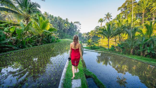 The Bali you travelled to is not necessarily the same one the kids will experience.