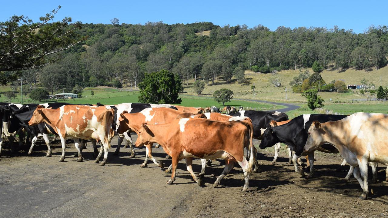 ADFC lifts to be a farmgate leader