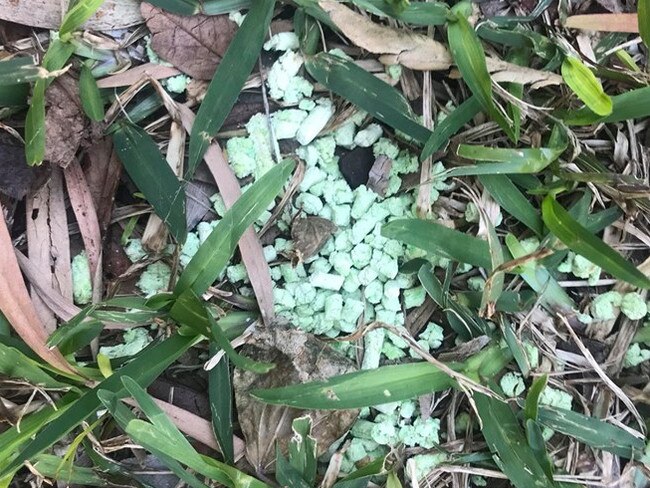 What is believed to be rat poison found in Vaucluse today.