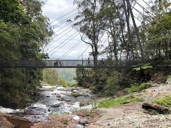 Renders of development at Springbrook National Park on the Gold Coast. Suspension bridge. Picture: Supplied