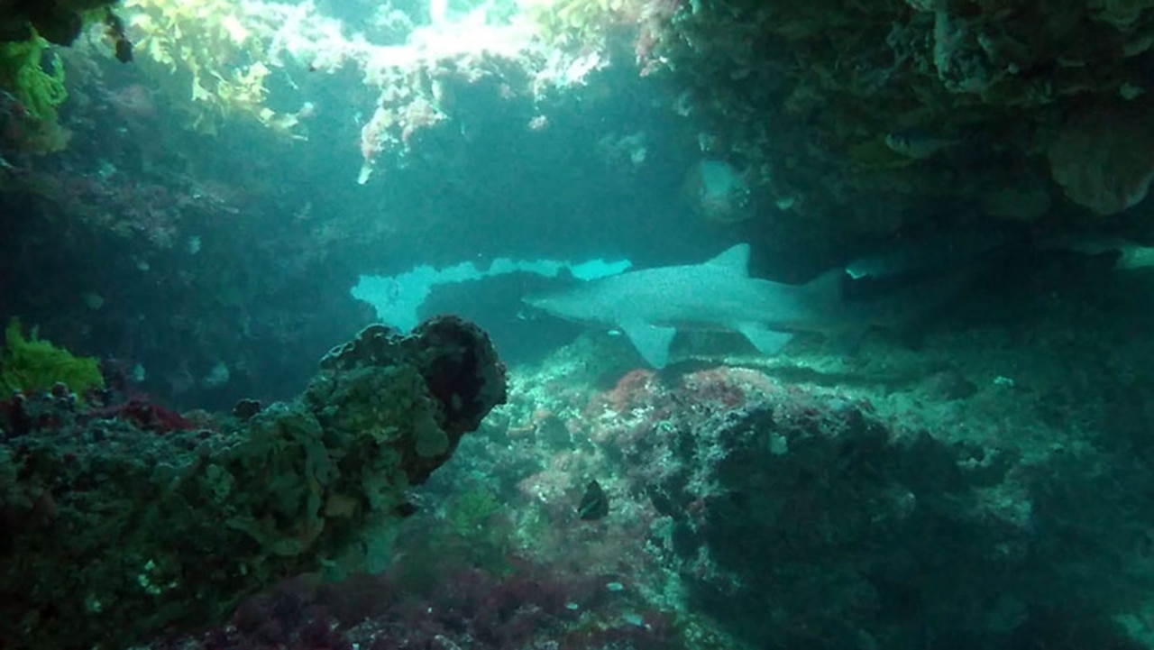 Geographe Bay is full of marine life and the location of a proposed wind farm. Picture: Rick Harding