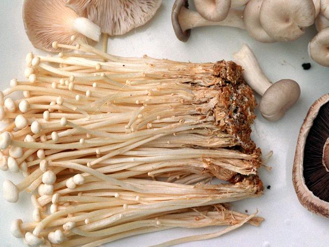 Enoki mushrooms.   mushroom/Mushrooms