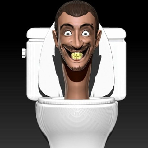 If you don’t recognise this image or know the origin of the Gen Alpha term “skibidi toilet”, learn the lingo by scrolling down to the glossary of top three terms at the end of this article. Picture: supplied/file image