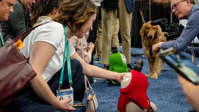 The Lovot robot was very popular on the show floor at CES Unveiled in 2020.