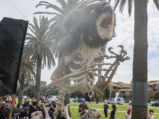 Extinction Rebellion protesters conducting a mock funeral procession featuring a burning Koala march in St Kilda on November 06, 2021 in Melbourne, Australia. Photo: Getty Images