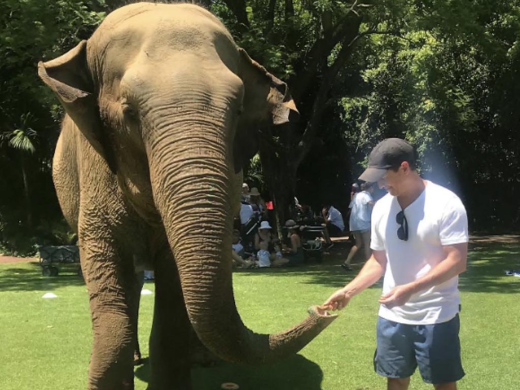 Rove McManus is among those mourning the death of Tricia the elephant. Picture: Instagram