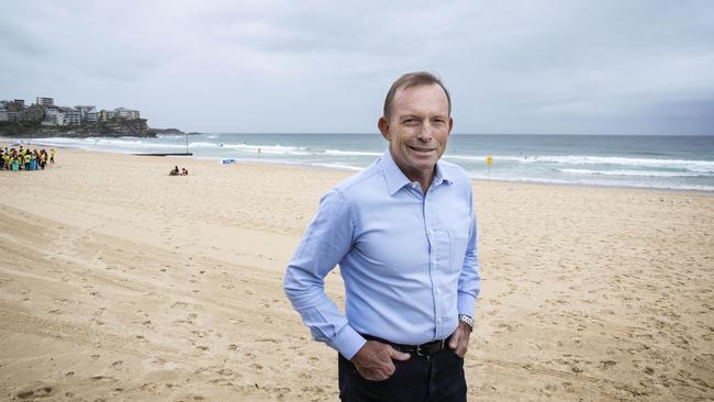 1/2/19: Tony Abbott member for the seat of Warringah at Manly Beach. John Feder/The Australian.