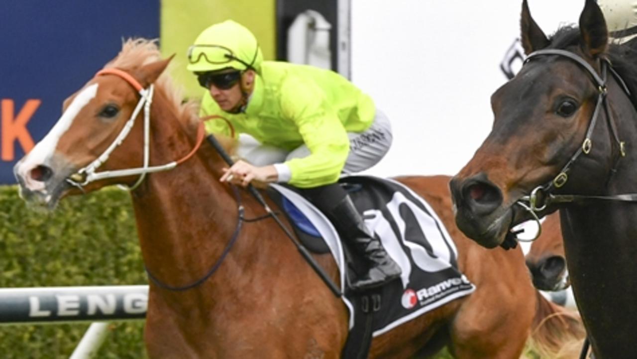 Makarena (yellow) can make amends for her first-up defeat by winning the opening event at Canterbury on Wednesday. Picture: Bradley Photos