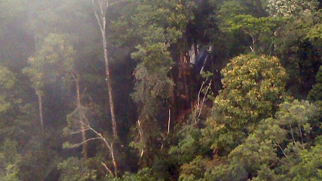 The plane crashed into heavy jungle on the side of a mountain.