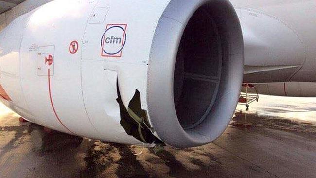 Storm damage to a Jetstar aircraft at Brisbane Airport after freak winds caused havoc on November 13, 2016. Picture: Facebook