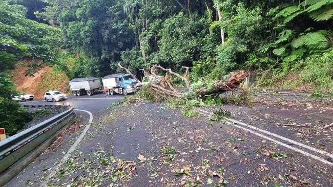 Fallen tree over road on Kuranda range closes road in both directions. Pictures: Supplied.