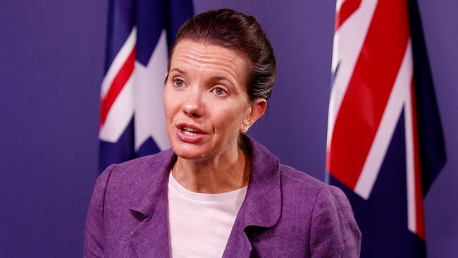 Mental Health Minister Rose Jackson urged workers not to resign ahead of arbitration with the IRC. Picture: NewsWire/ Nikki Short