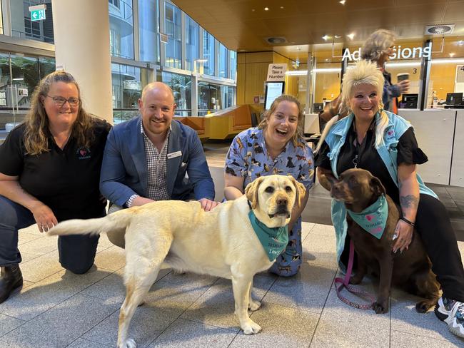 Lisa Farrall co-founder Therapy Paws, Domian Broomhall health department, Alice Barrett nurse, Vanessa Ward Therapy Paws with Lewy (left) and Chilli.