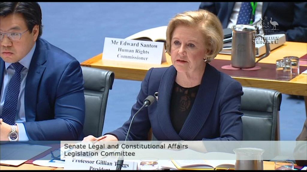 Triggs under fire from Coalition