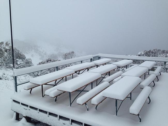 Snow finally falling at Thredbo over the weekend. Picture: Kosciuszko Thredbo