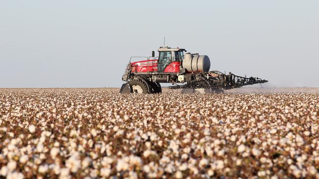 Spraying cotton crops. Picture: Yuri kouzmin