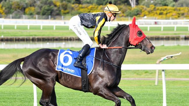 Nonconformist finished second in the Caulfield Cup last year. Picture: Racing Photos via Getty Images