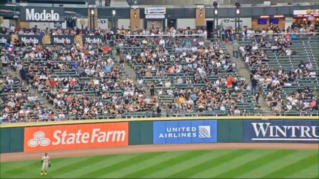 White Sox shooting: Woman 'snuck gun into MLB game in Chicago through folds  in her BELLY FAT' before it went off by accident last Friday night