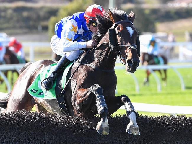 Duke Of Bedford (NZ) ridden by Arron Lynch jumps a steeple on the way to winning the Brandt Grand Annual Steeplechase at Warrnambool Racecourse on May 01, 2025 in Warrnambool, Australia. (Photo by Pat Scala/Racing Photos via Getty Images)