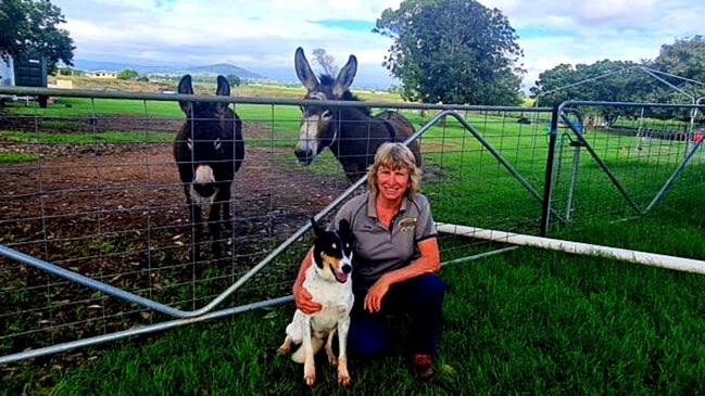 Above and Beyond Dog Training owner Cathy Grant said the prong collar did not harm animals and helped her dog Scooby to stop chasing livestock and donkeys.