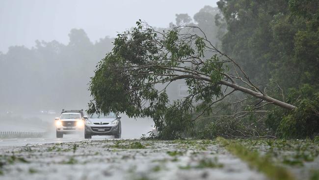 Motorists try to clear past trees which were blocking part of the M1 motorway just north of Coomera. Picture: Lyndon Mechielsen