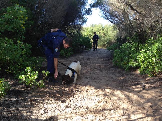 A 2014 search of sandhills in the Tuggerah Lakes area looking for Ronald Penn.