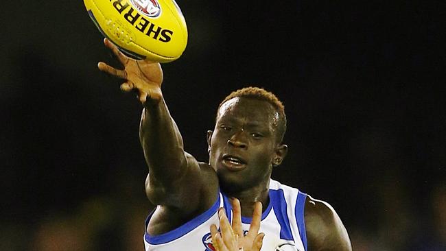 Daw in the ruck for North Melbourne. Picture: Wayne Ludbey