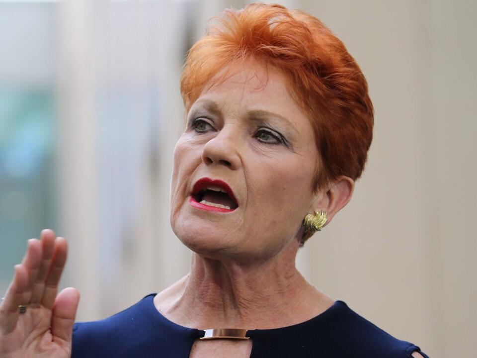 'Net zero migration' until all Australians 'have a roof over their head': Pauline Hanson