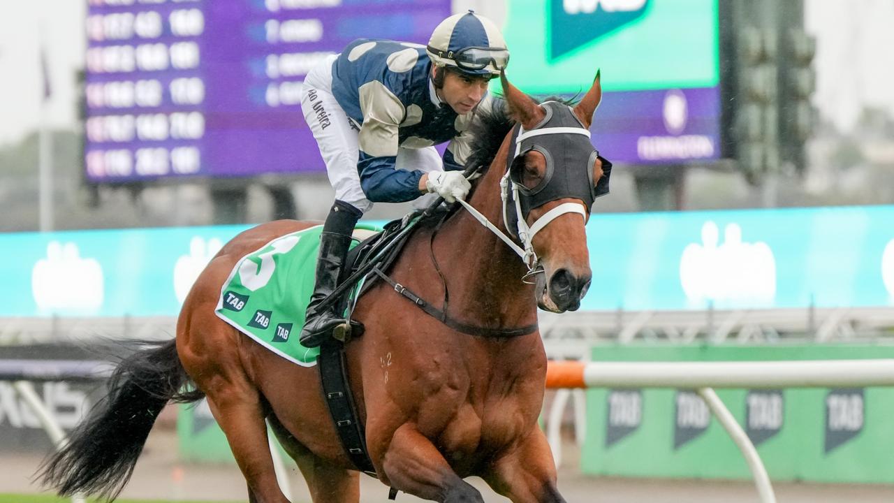 Buckaroo remains the Melbourne Cup favourite despite drawing barrier 21. Picture: George Sal/Racing Photos via Getty Images