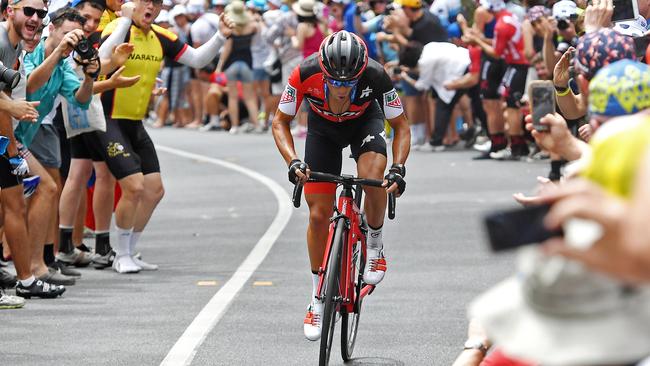 20/01/18 - Fans cheer on the Richie Porte on to victory during the Subaru King of the Mountain: Brookman Road, Willunga Hill.Picture: Tom Huntley