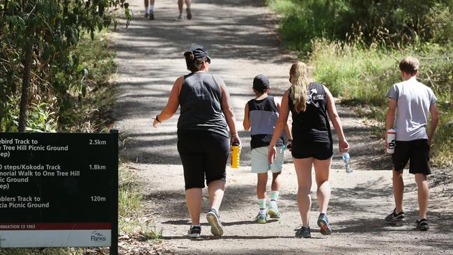 1000 Steps are open today despite total fire ban declared for the region. Runners at the start of the 1000 Steps. Picture: Stuart Milligan