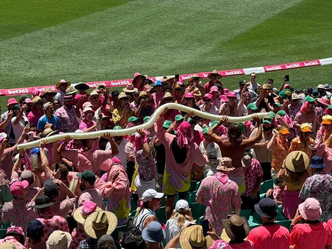 An impressive beer snake at the Sydney v Indis Cricket Test.