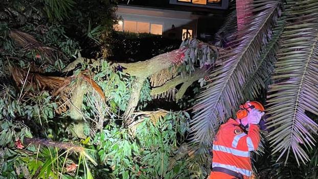 Volunteers from the Pittwater/Warringah Unit of the State Emergency Service were called out to 15 locations to assist residents after the wild thunderstorm on Monday afternoon. Picture: SES Pittwater/Warringah