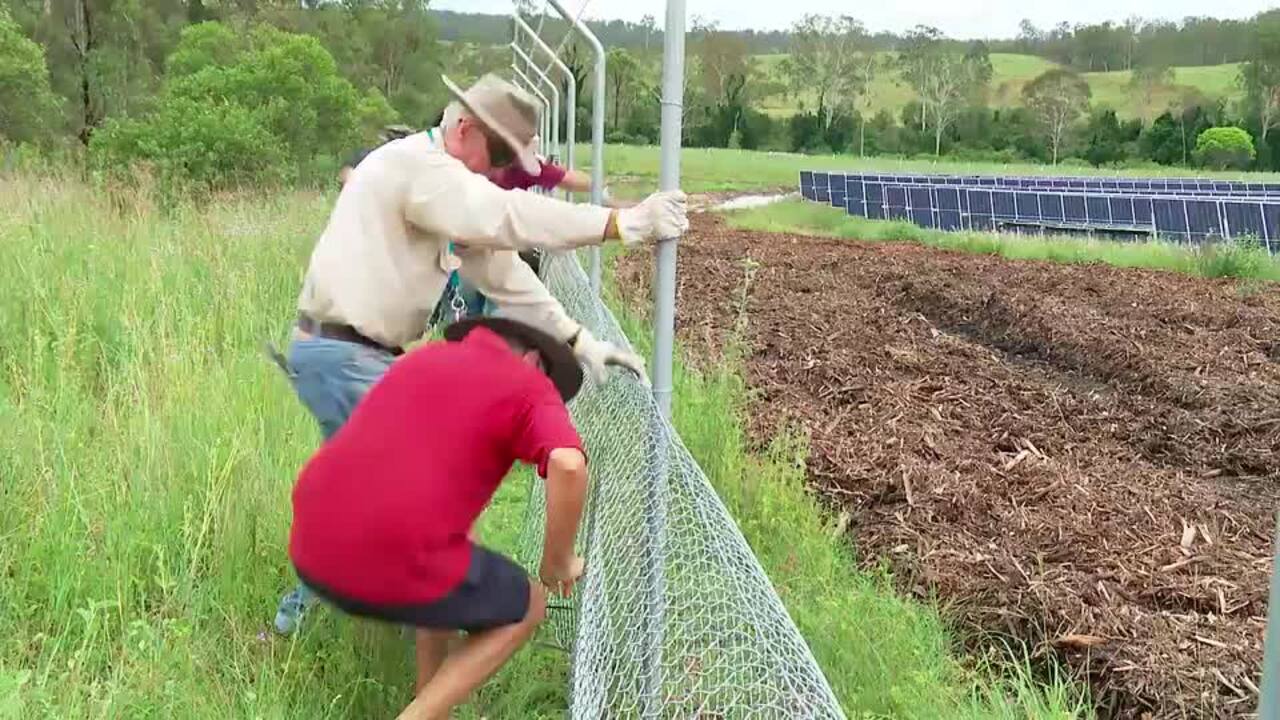 Rally attendee's cut zip ties along 300m solar farm fence