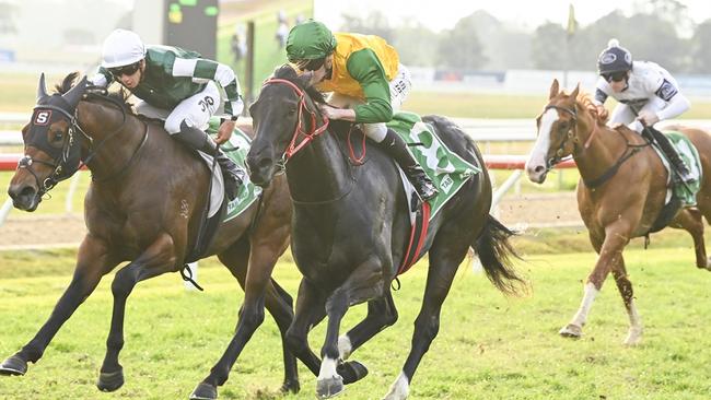 Weeping Woman can bounceback from a luckless first-up defeat when she heads to Canterbury. Picture: Bradley Photos