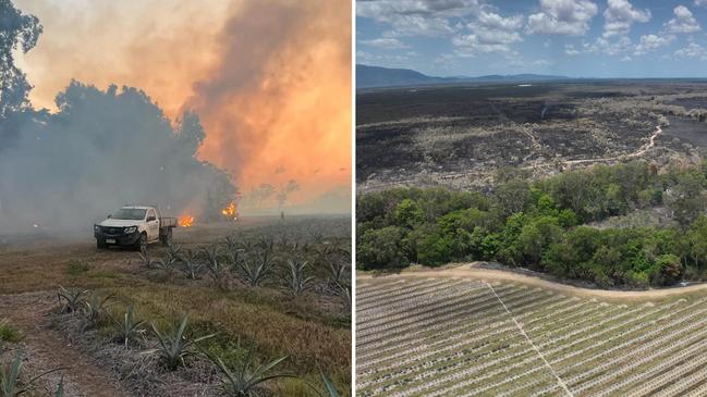 A Whitsundays’ farm manager has slammed the person who reportedly ignored a fire ban to ignite a raging inferno that shut the highway.