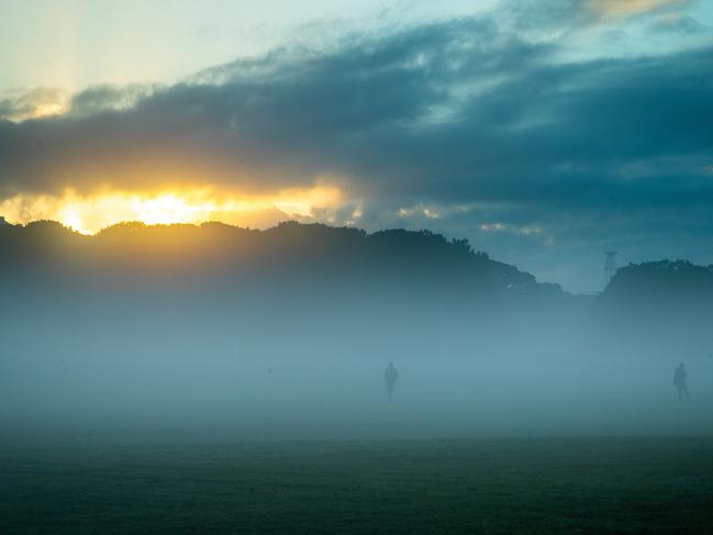 Generic pictures showing morning light and fog and the early bird catching the worm in Centennial Park on May 1st 2021. (Pictures by Julian Andrews).