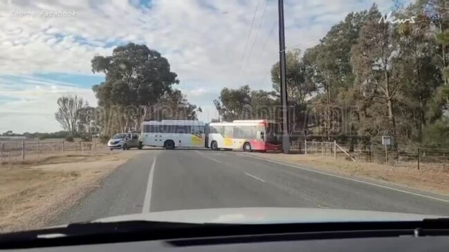 Bizarre moment Adelaide bus parks across road