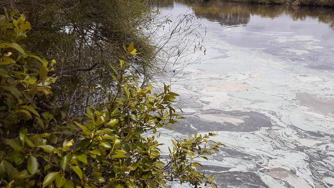 What looks like an oil slick on the surface of Belongil Creek has been confirmed to be marine blue green algae. Picture: Byron Shire Council