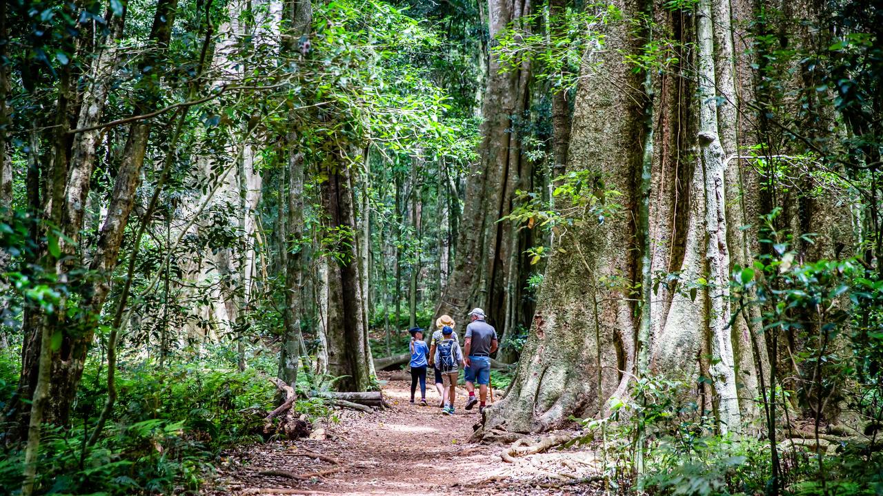 Thousands of visitors stay in the Bunya Mountains each year.