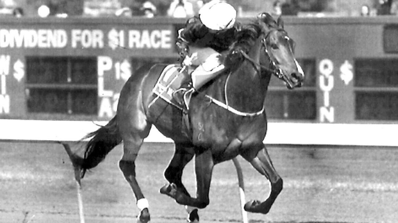 PIRATE: Racehorse Mahogany, ridden by Geg Hall winning the Victoria Derby at Flemington. 30 October 1993.  Sport / Turf