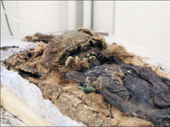 Preserved ... The remains of the noble boy, accidentally preserved by the copper plates and permafrost. Source: Siberian Times