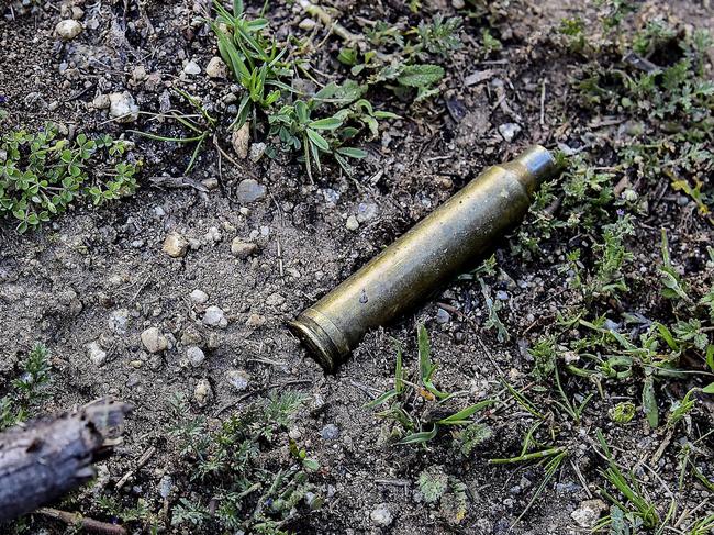 Bullet found in the Kosciuszko National Park, where a wild brumby was found shot dead. Picture: Paul McIver