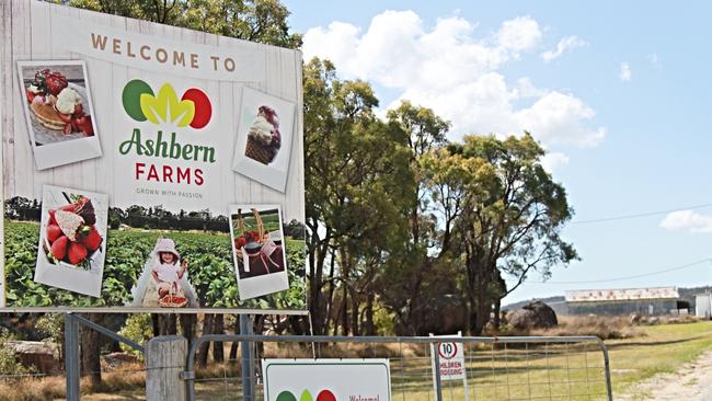 SWEET DEAL: Ashbern Farms in Stanthorpe is one of several strawberry growers on the Granite Belt who contribute to the 6-15,000 tonnes of fruit produced per season.